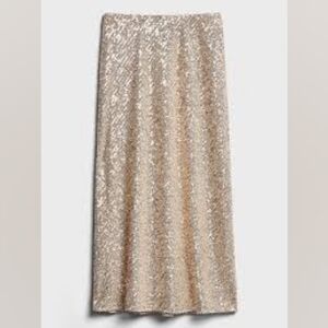 Banana Republic Bias Cut Sequin Midi Skirt - Petite Small